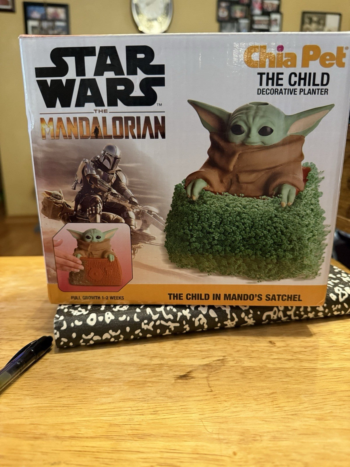 Star Wars Grogu The Child In Mando's Satchel Chia Pet The Mandalorian Disney NEW0