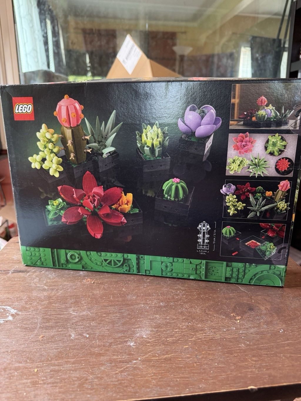 LEGO Botanicals: Succulents (10309) DMG BOX -Brand New SHE 40