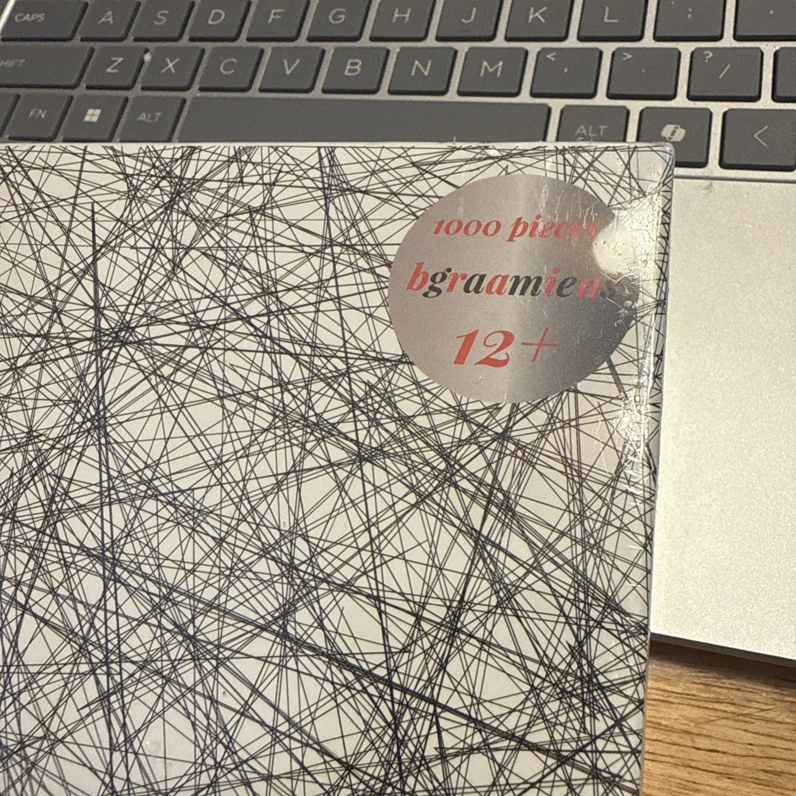 Bgraamiens Puzzle-The Lines -1000 Pieces Black and White SEALED BIN 91