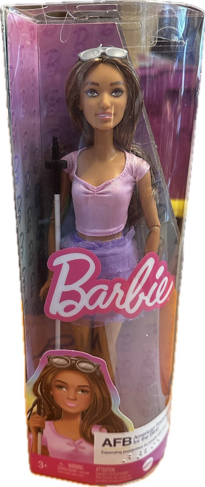 NEW IN BOX Barbie Fashionistas Blind Barbie Doll  Comes With Cane and Glasses SH1