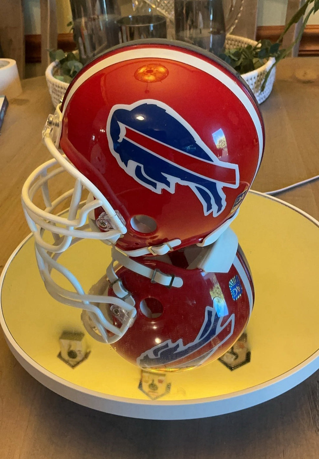 Don Bebee Mini Helmet With Heavy Duty UV Case1