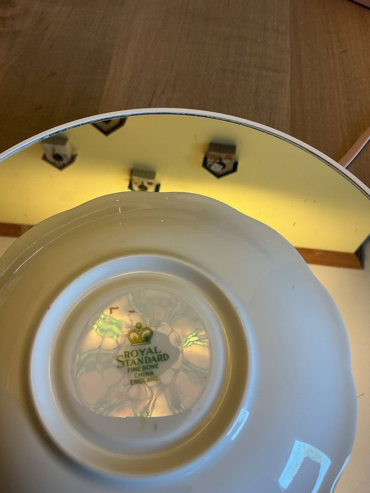 Royal Standard Teacup and Saucer Pink Rose Gold Accents CHN 333