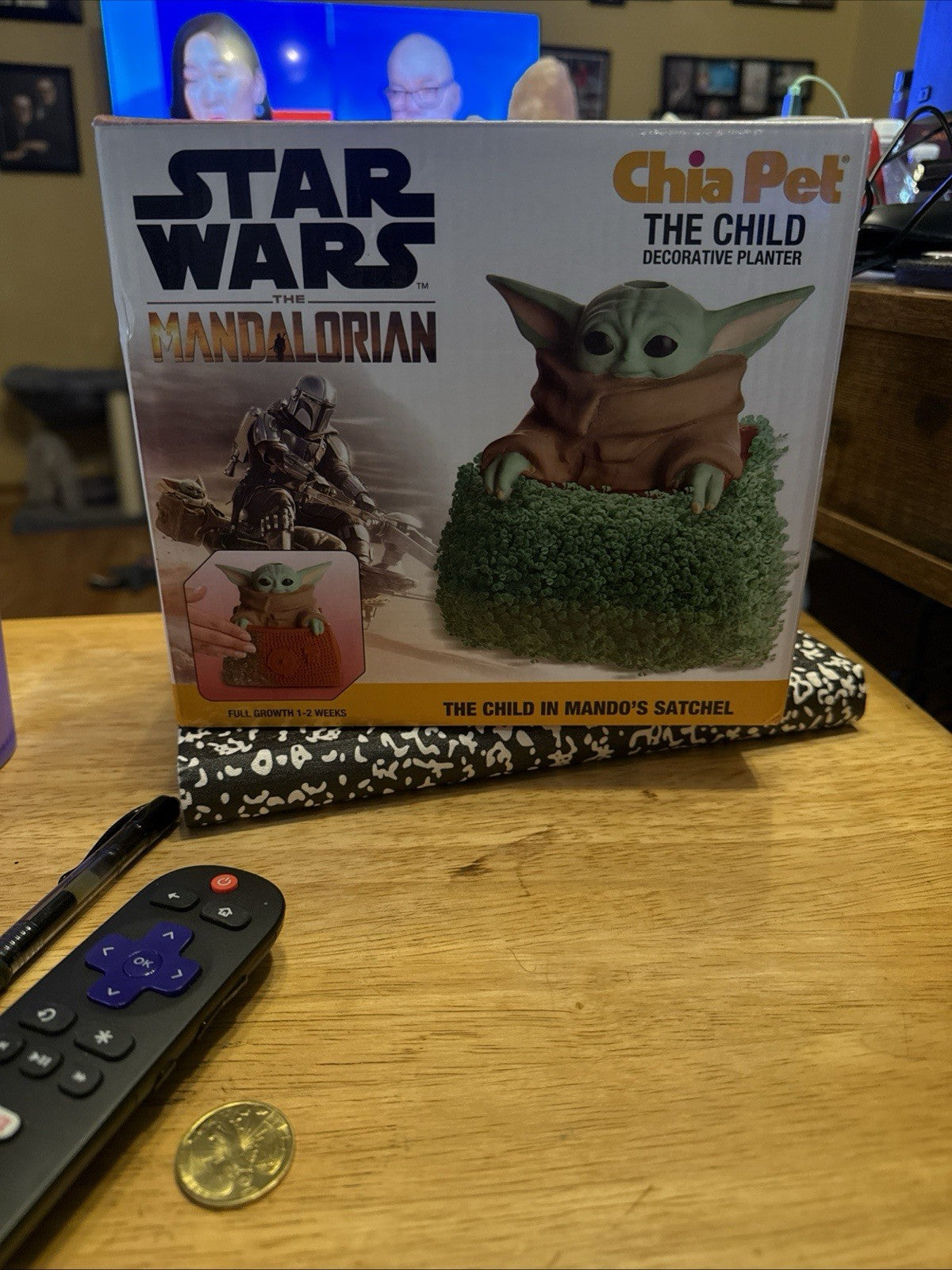 Star Wars Grogu The Child In Mando's Satchel Chia Pet The Mandalorian Disney NEW2